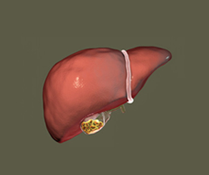 Hepatobiliary