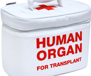 Organ transplant